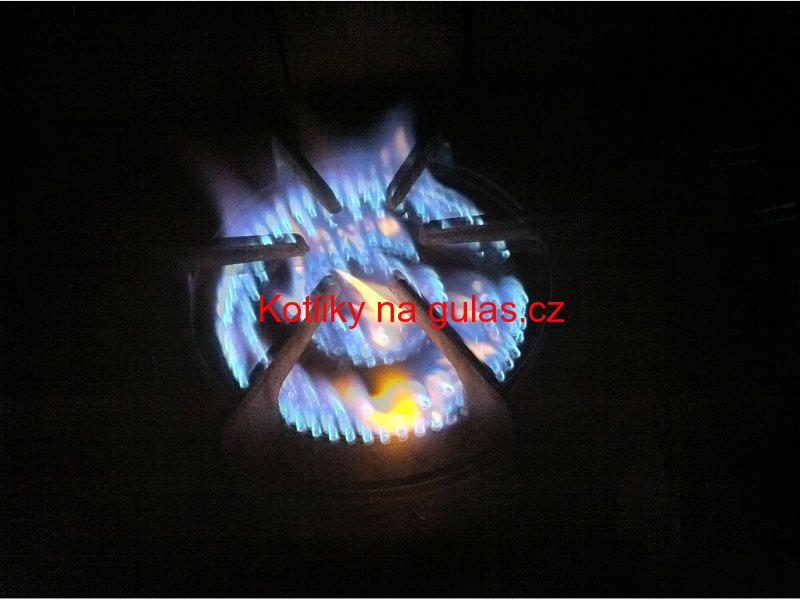 Plynový vařič T.G. WOK tříhořákový 9,2kW 